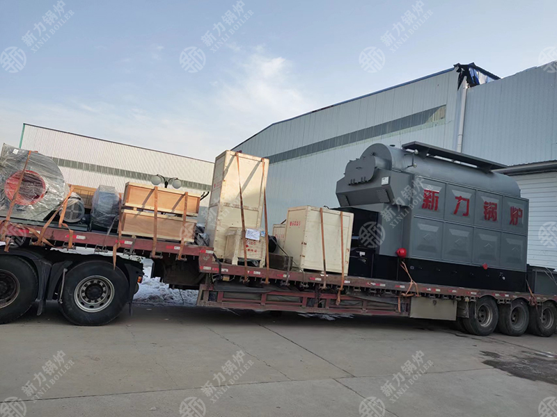 DZL生物质热水锅炉